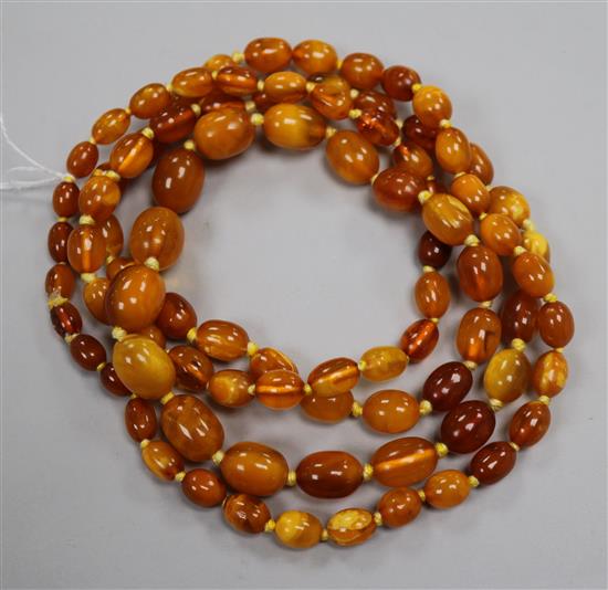 A single strand graduated amber bead necklace, gross weight 72 grams, 128cm.